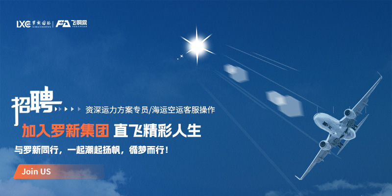 罗新集团