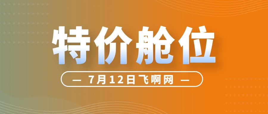 飞啊网特价